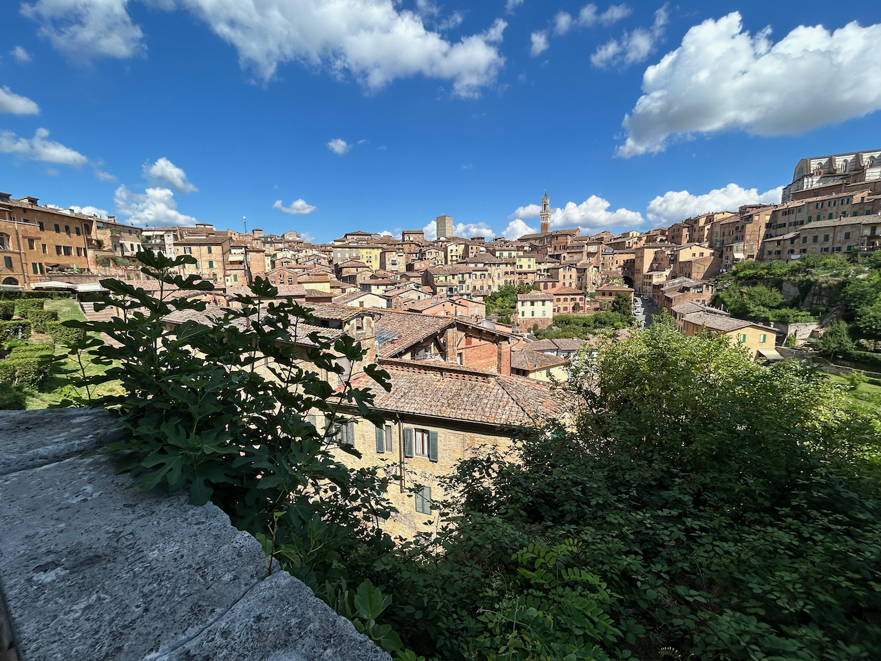 example image